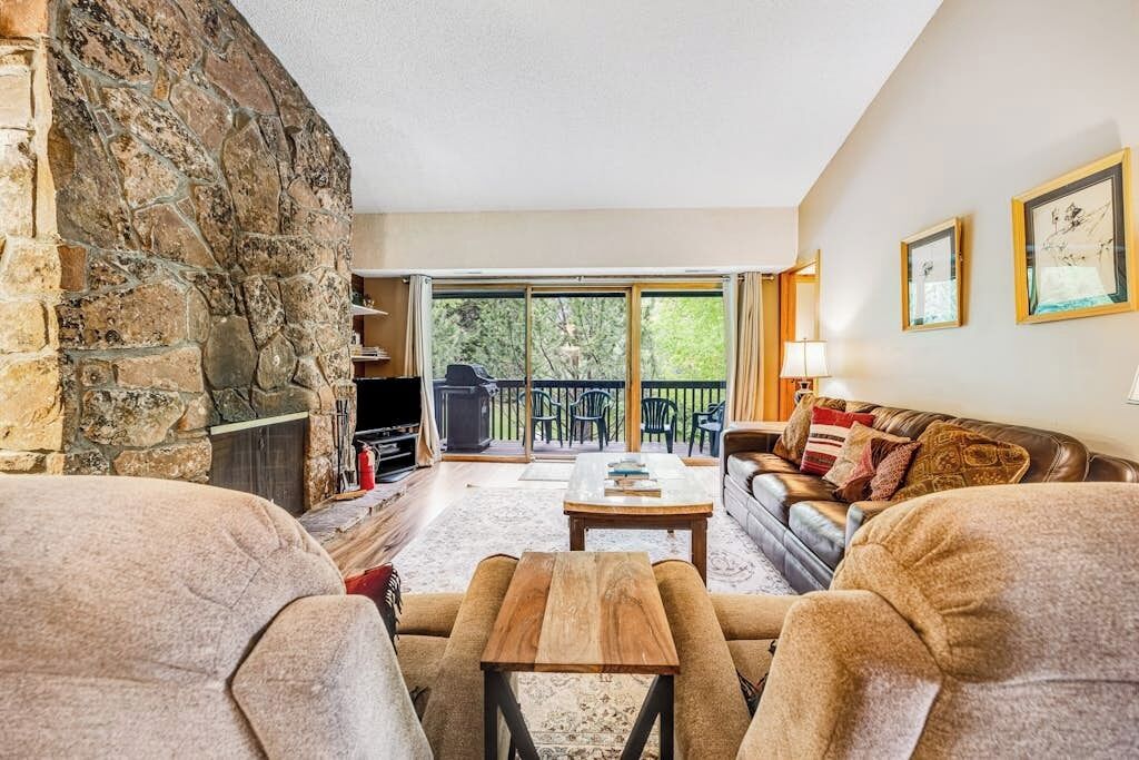 TV, fireplace, DVD player, books