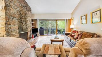 TV, fireplace, DVD player, books
