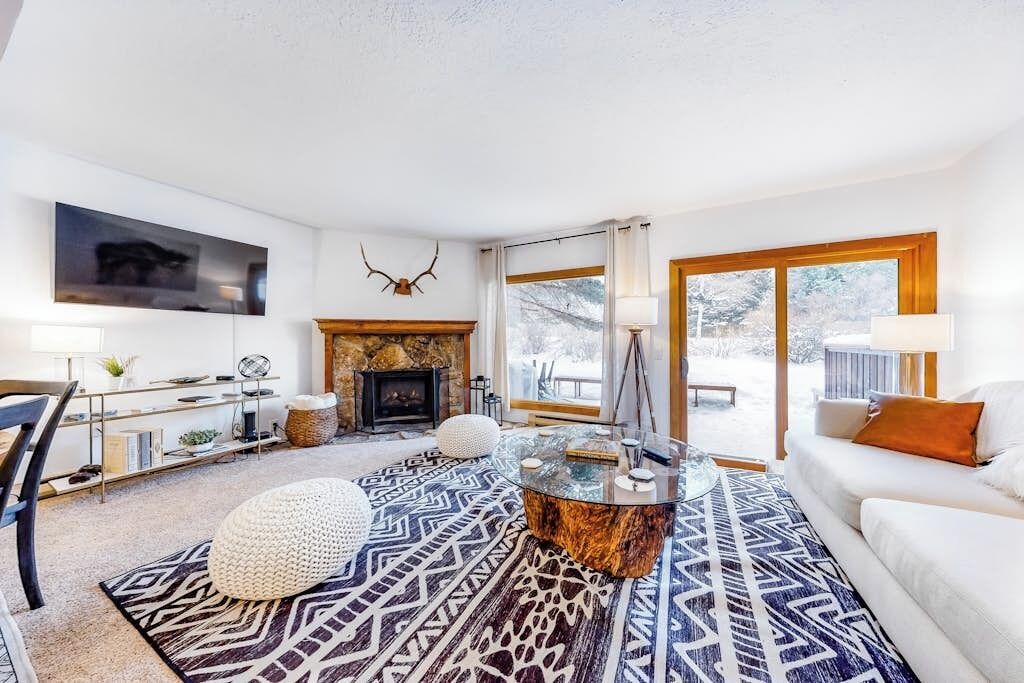 TV, fireplace, books