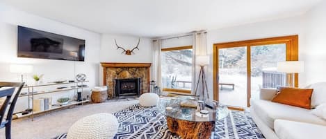 TV, fireplace, books