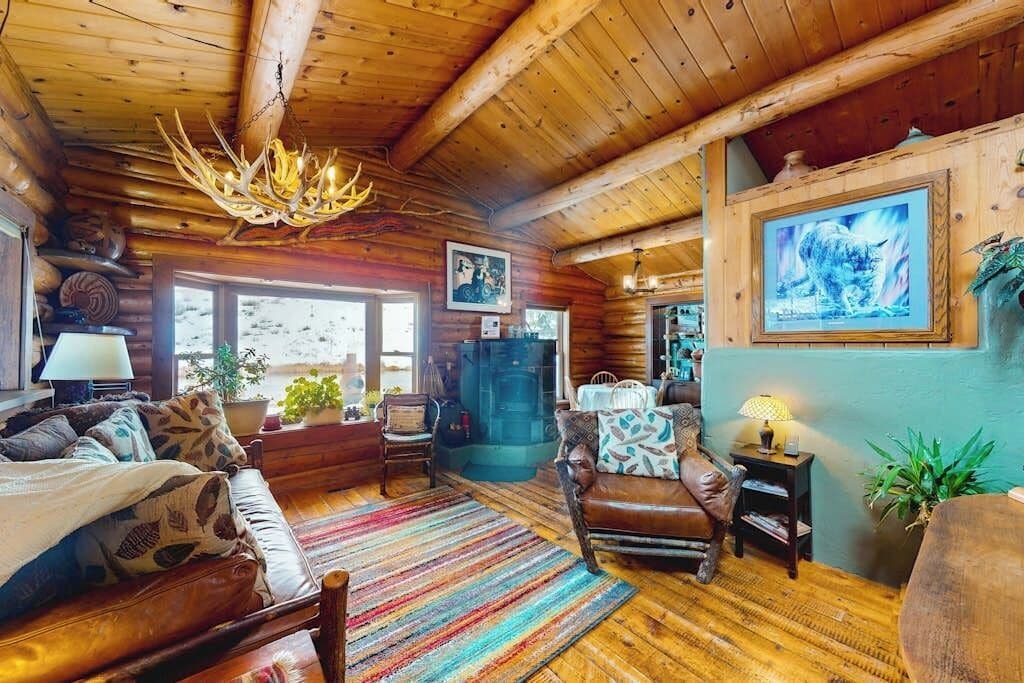 TV, fireplace, books
