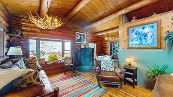 TV, fireplace, books