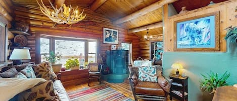 TV, fireplace, books