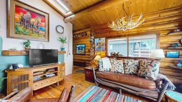 TV, fireplace, books