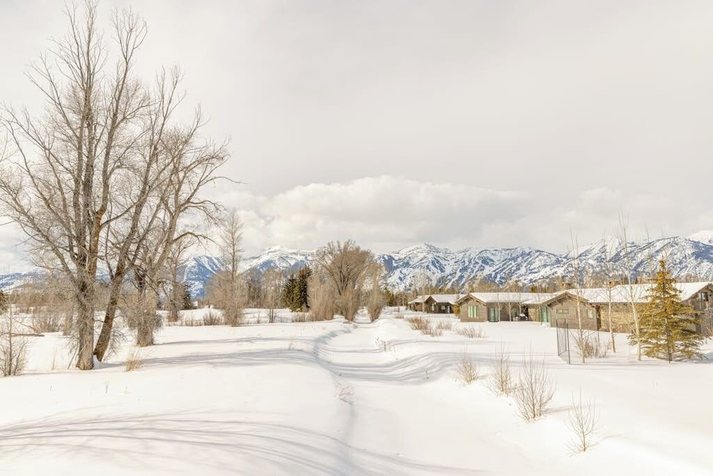A snowy landscape with a clear path leading to a row of cabins.