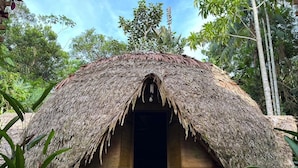 Une hutte au toit de chaume, dotée d’une entrée sombre et entourée d’une végétation luxuriante.