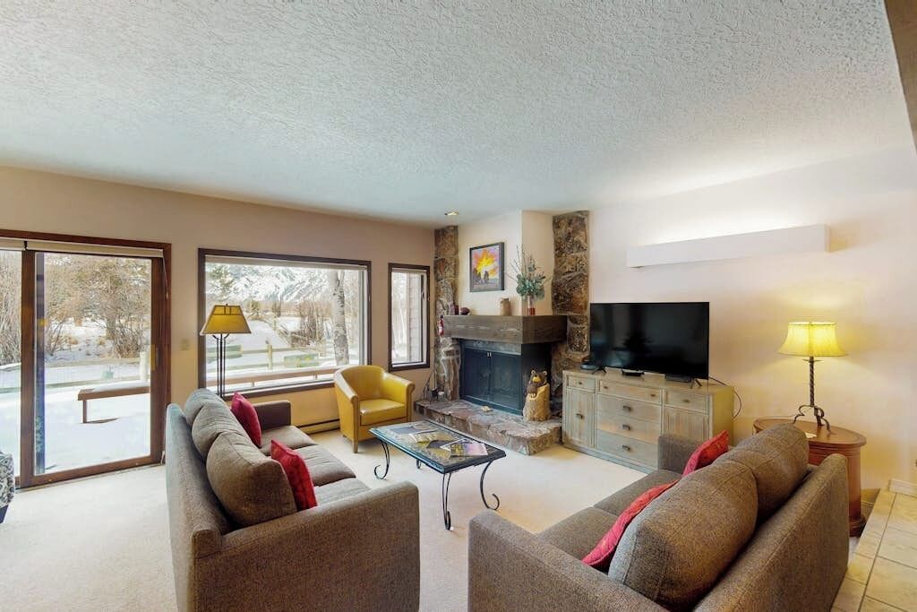 TV, fireplace, books