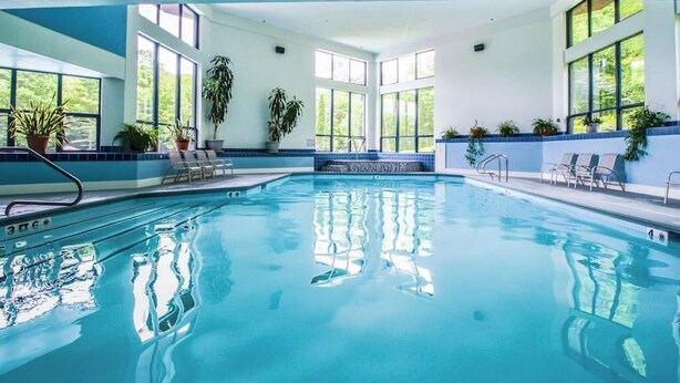 An indoor swimming pool with clear blue water, large windows, and potted plants.