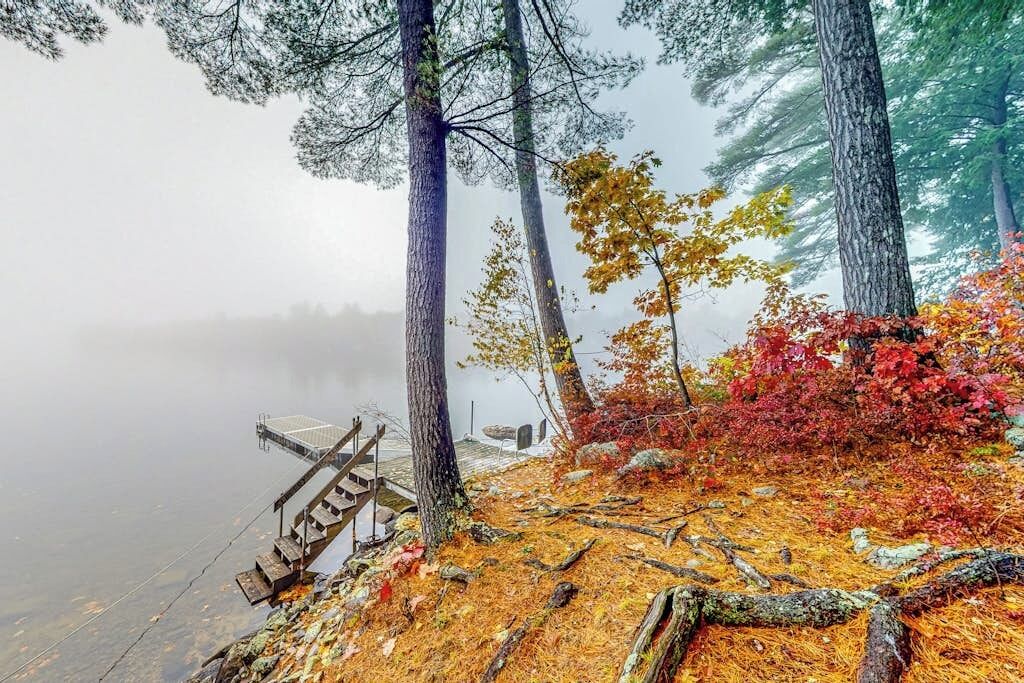 Une zone boisée avec une jetée qui s’avance dans un lac brumeux.