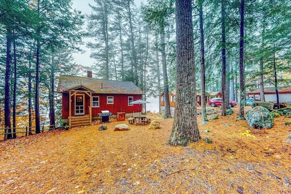 Une cabane entourée de grands arbres, une terrasse en bois et un espace extérieur aménagé avec des sièges, protégé par un toit.