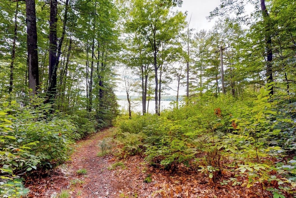 A forested area with a dirt path leading towards a body of water.