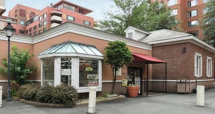 Large, Cozy studio in Arlington. 1 block from Metro, 1 stop from DC!
