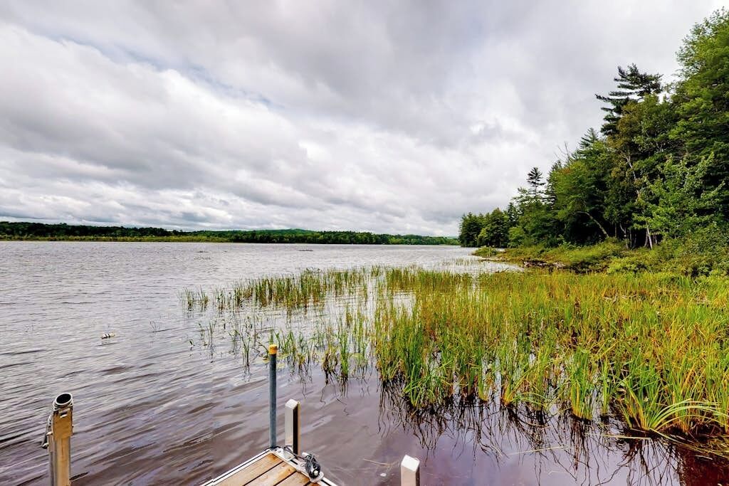 Un lago tranquilo con un muelle que se adentra en el agua, rodeado de abundante vegetación y árboles.