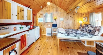 Lakefront cabin with shared firepit & access to Sebago Lake