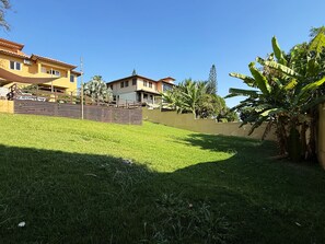 Ein Wohngebiet mit Rasen, einer Treppe, die zu einem Haus führt, und einer Bananenstaude.