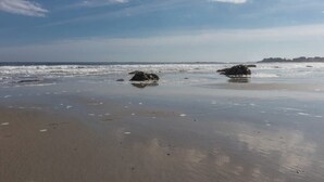 A beach with calm waters, scattered rocks, and a clear sky.
