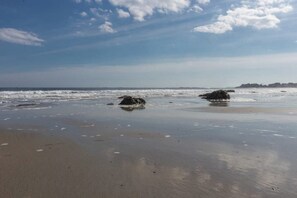 Ein Strand mit ruhigem Wasser, vereinzelten Felsen und wolkenlosem Himmel.