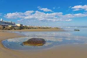 Una playa con una roca grande al frente, un edificio con una torre blanca a la izquierda y un cielo despejado.