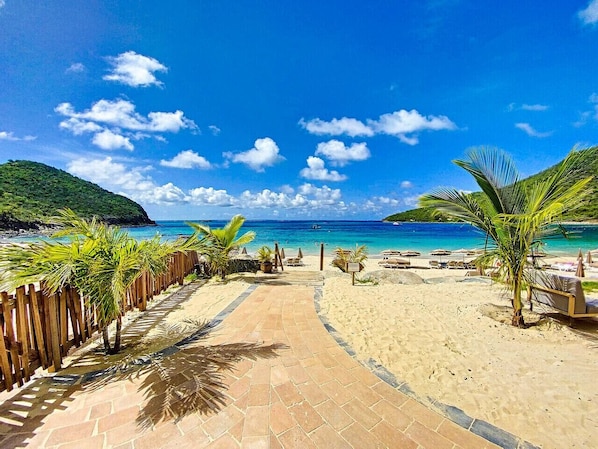 A paved pathway leading to a beach with palm trees and beach chairs. - Koala 2, elegant studio with sea view in Anse Marcel (Anse Marcel)