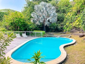 Ein Pool mit gewölbter Kante, umgeben von einer Liegefläche mit Stühlen, und ein großer Baum im Hintergrund.
