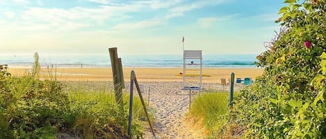 Playa