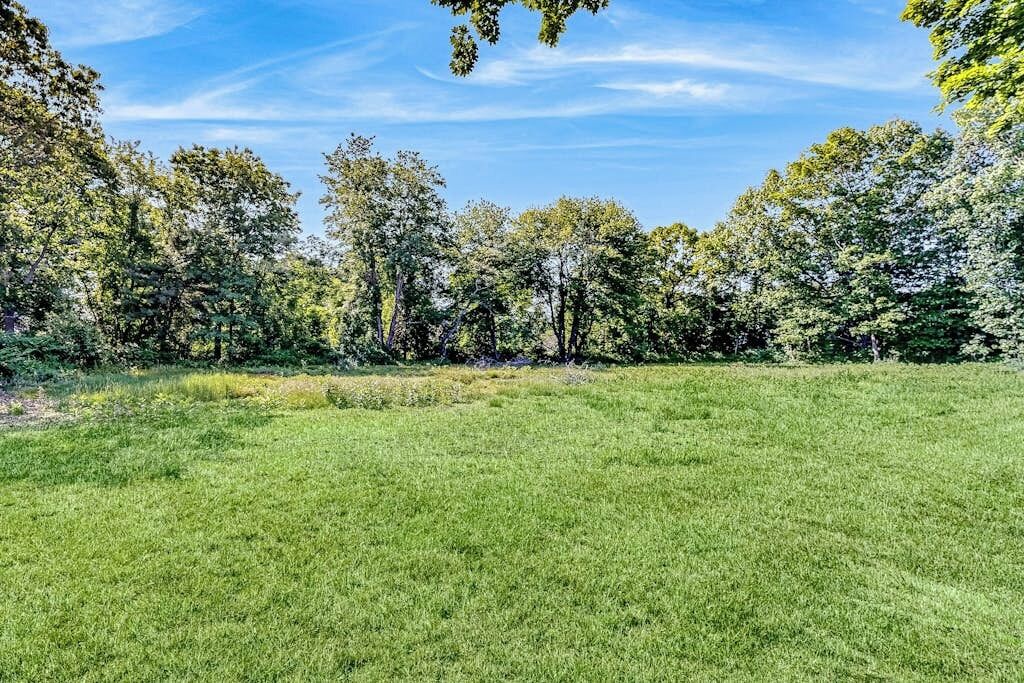 Ein grünes Feld mit Bäumen im Hintergrund.