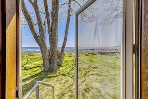 Blick durch eine Glastür auf eine begrünte Fläche mit einem großen Baum und einer Bank, mit Blick auf einen Strand.