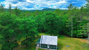 Ein grünes Haus mit geneigtem Dach, umgeben von dichtem Wald und Bergen im Hintergrund.