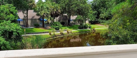 A paved pathway with a white railing, a small pond, and lush greenery in the background.