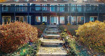 Heart of Mount Washington Valley close to ski, hike, shops & Storyland