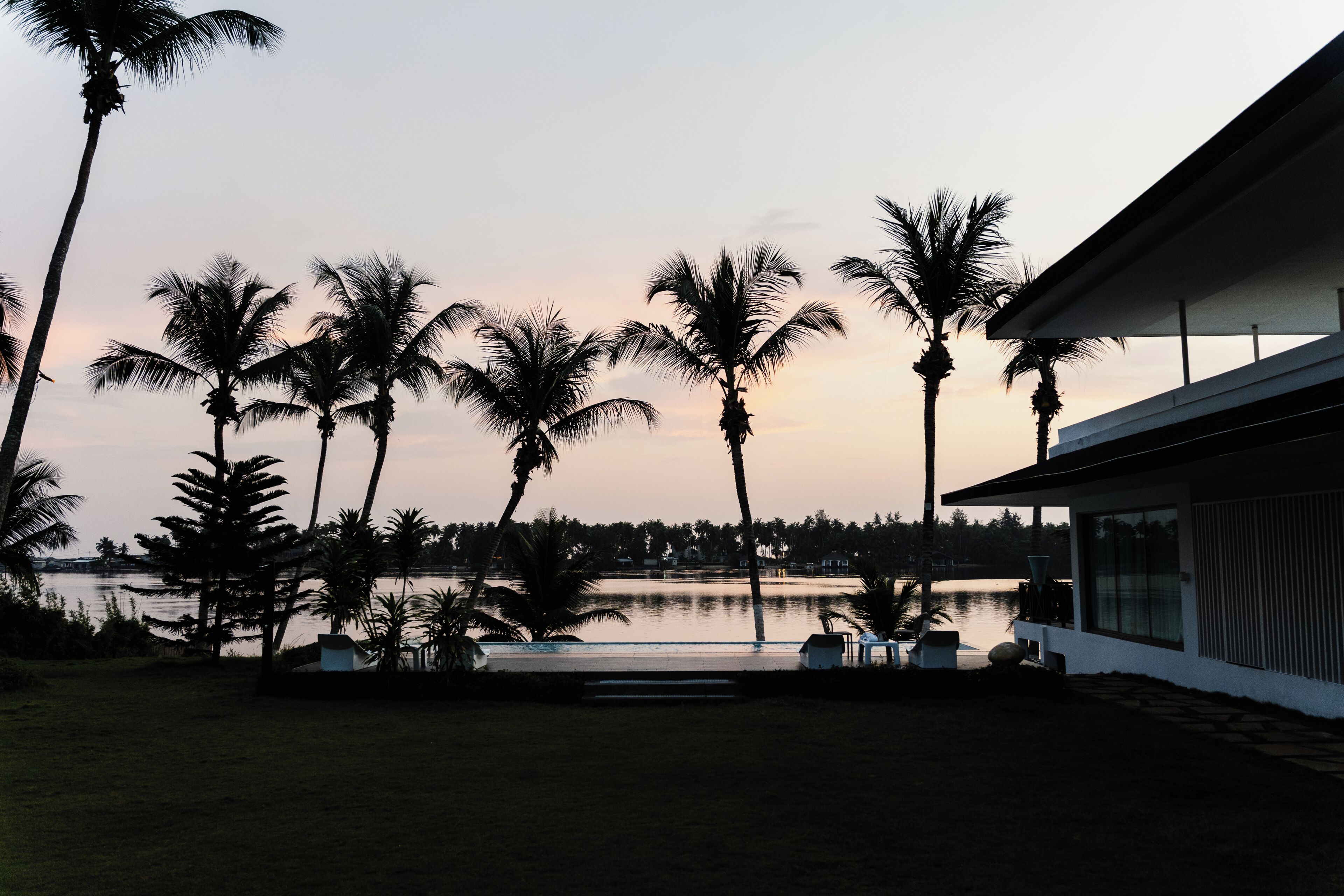 A modern building with a pool, surrounded by palm trees and a body of water.