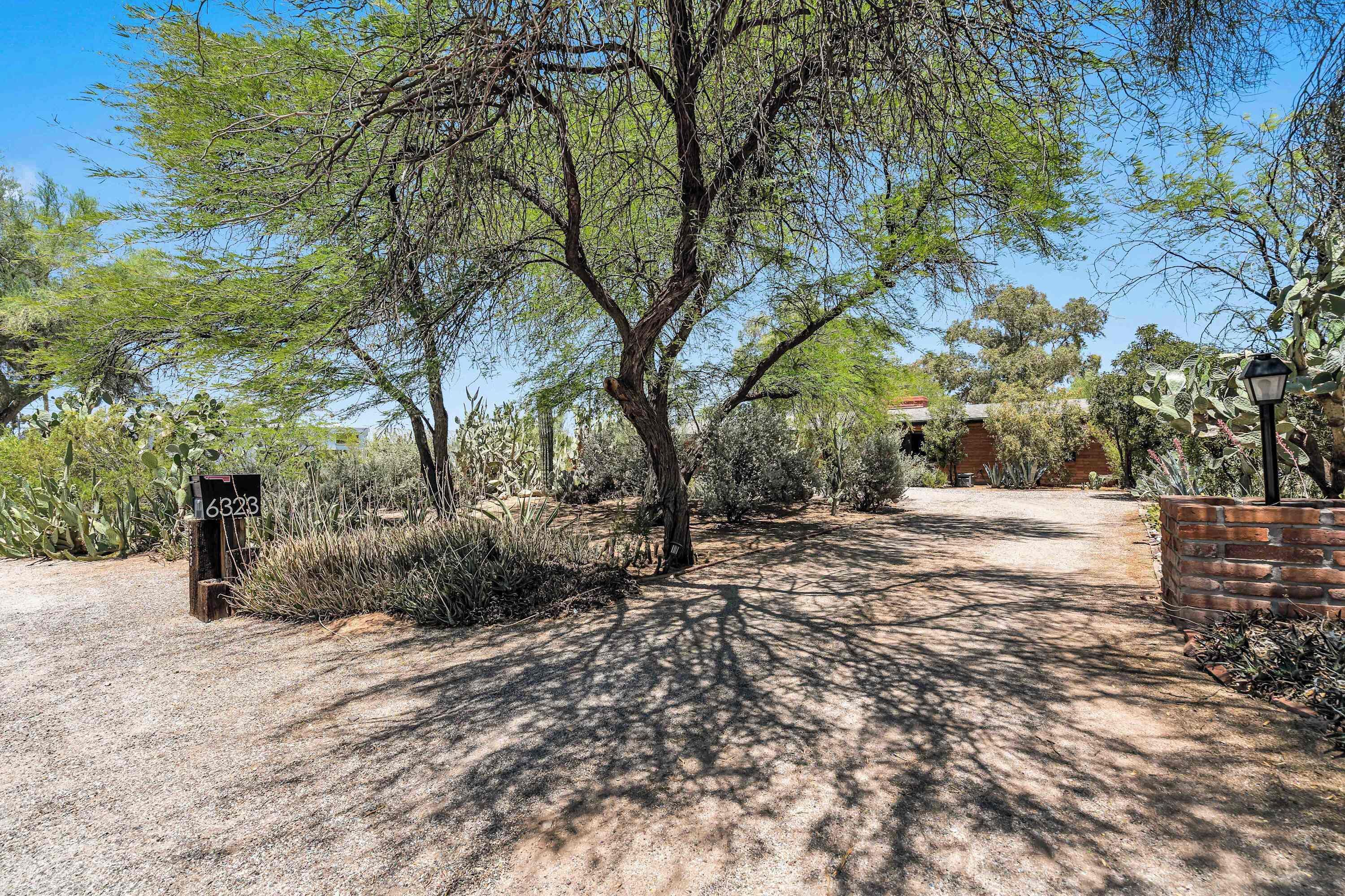 Un sendero de grava que atraviesa un jardín con árboles y un muro de ladrillo a la derecha.