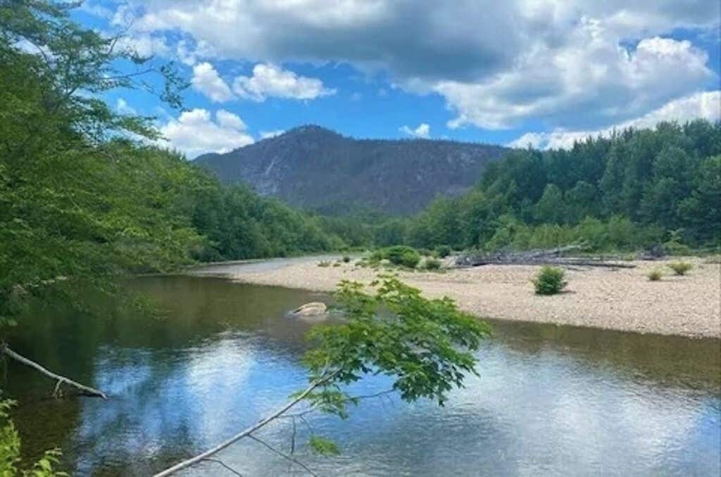 Um rio com uma montanha ao fundo e vegetação densa nas margens.