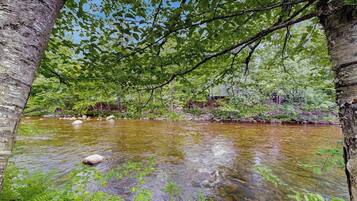 Un paysage naturel avec une rivière, des arbres et un ciel dégagé.