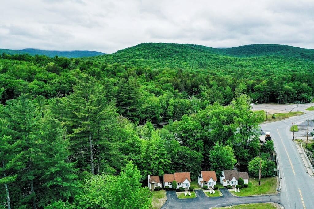 A residential area with houses surrounded by dense forest and hills in the background.