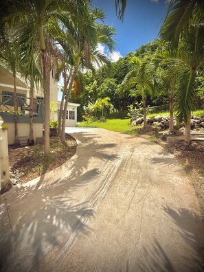 Une allée pavée mène à un bâtiment à l’extérieur blanc, entouré de palmiers et de verdure.