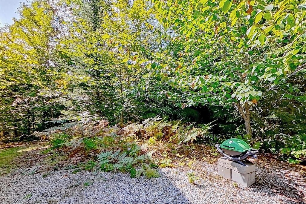 A gravel path leading through a wooded area with a green object on a concrete block.