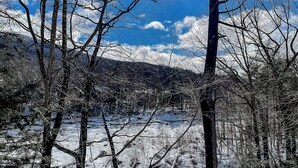 Paesaggio innevato con alberi spogli e cielo sereno.