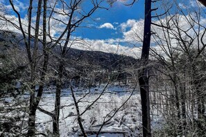 A snowy landscape with bare trees and a clear sky. - Mountain-view, riverfront retreat with seasonal AC, pool, tennis, washer/dryer (Lincoln)
