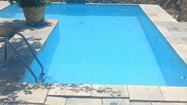 Una piscina rectangular con un muro de piedra y una planta en maceta.
