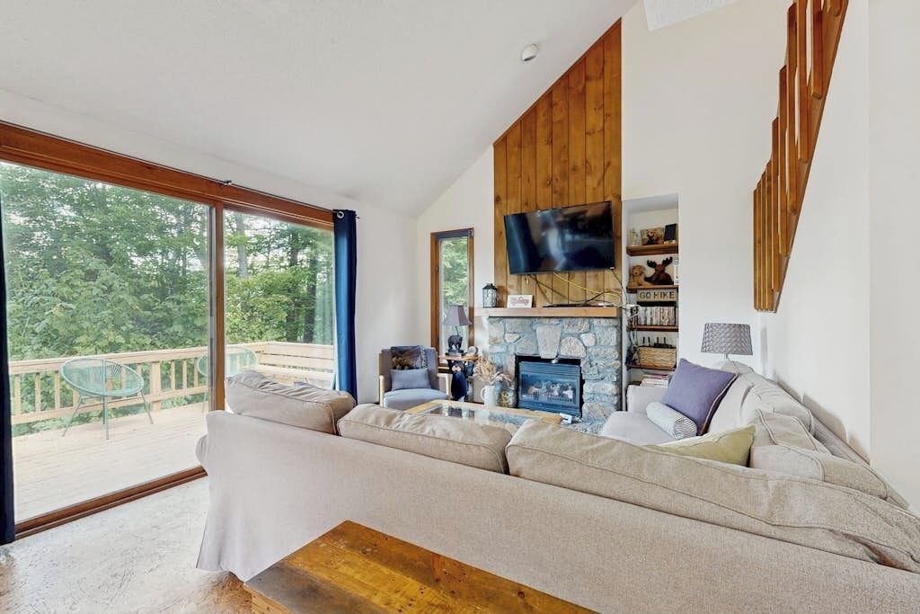 TV, fireplace, books