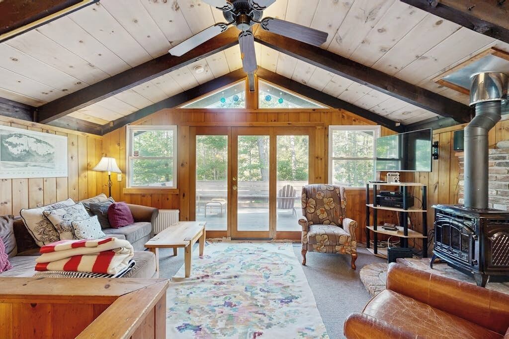 TV, fireplace, books