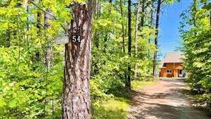 A forested area with a dirt path leading to a cabin. A tree with a sign reading '54' is visible.