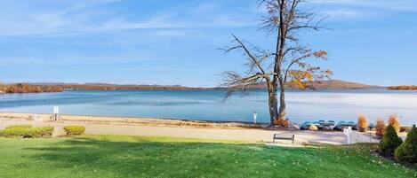A lakeside view with a grassy area, a bench, and a tree.