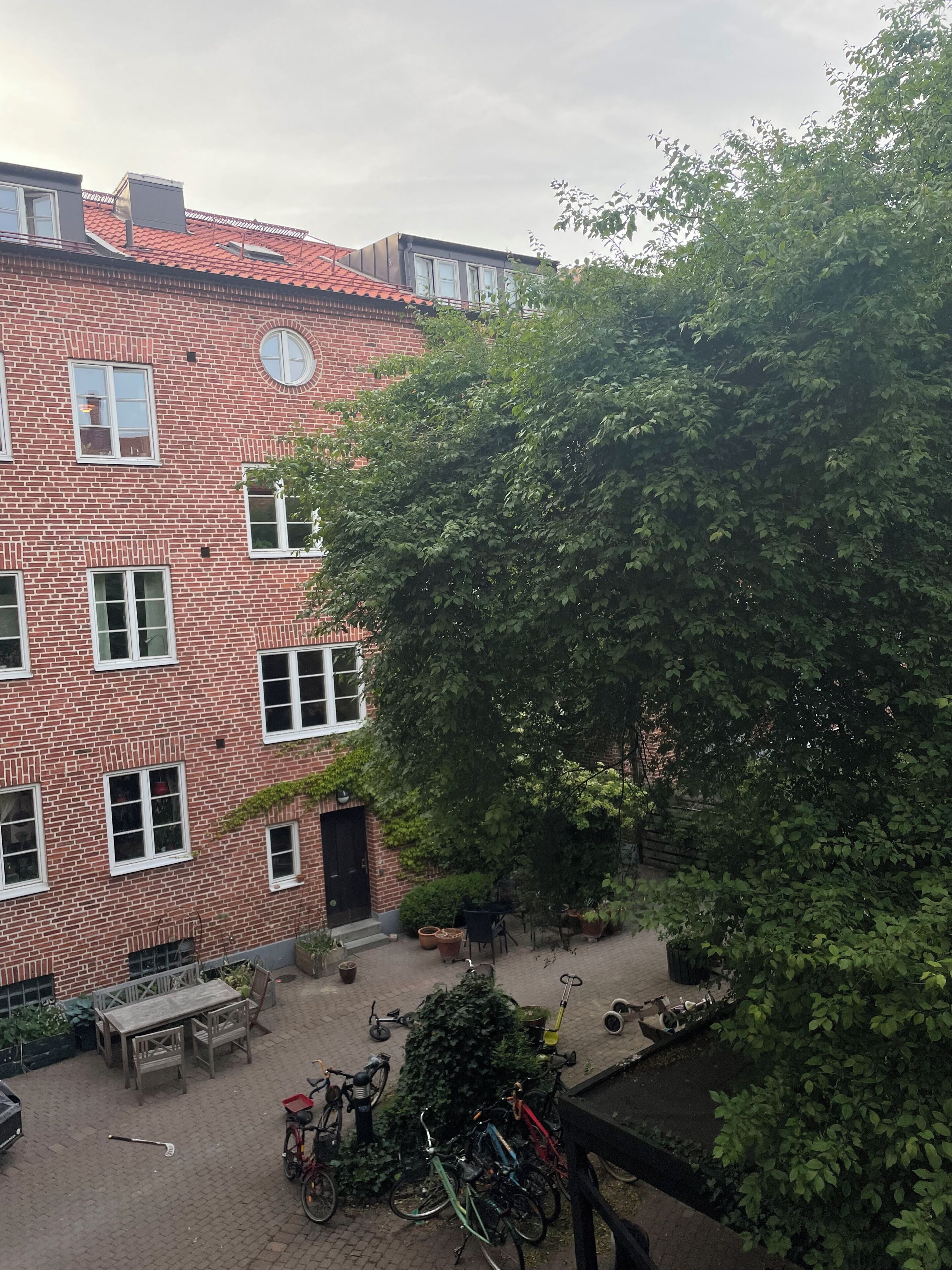 Exteriör