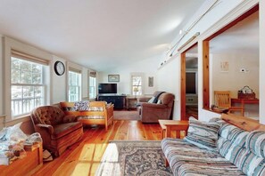 TV, DVD player, books, video library