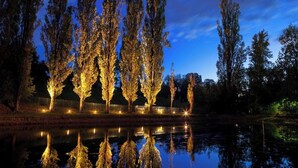 Escena nocturna con árboles iluminados y una masa de agua tranquila que refleja las luces.