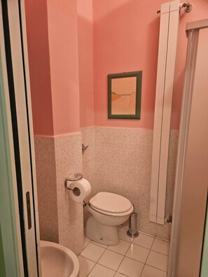 Hair dryer, bidet, towels, soap - 100. Studied, Villa On The Lake (Piemonte)