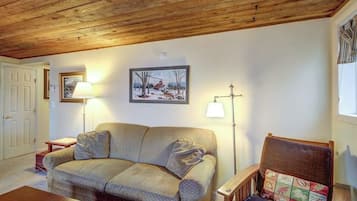 TV, DVD player, books, video library