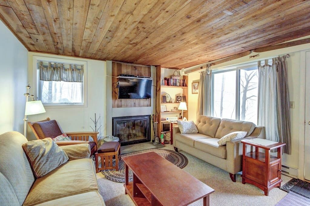TV, DVD player, books, video library